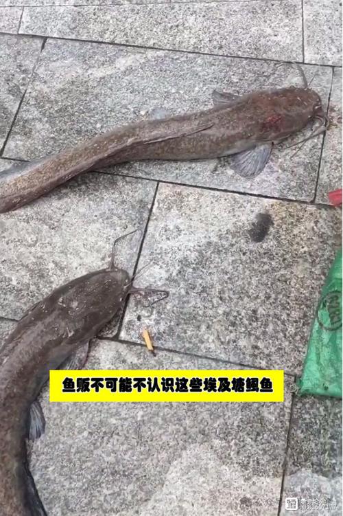 下载中心 第10页